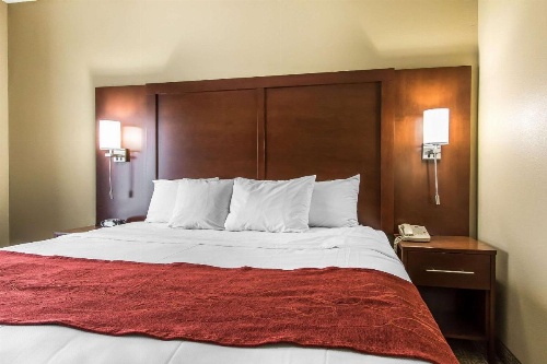 Comfort Suites Effingham image 13