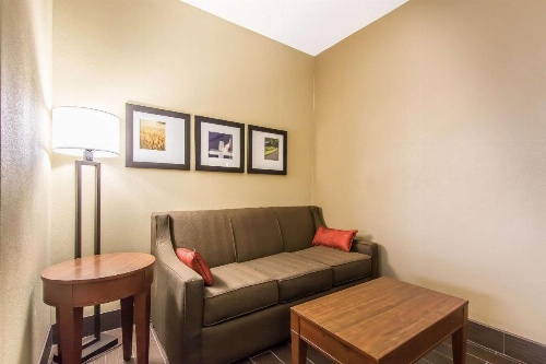 Comfort Suites Effingham image 17