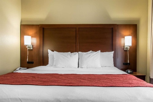 Comfort Suites Effingham image 26
