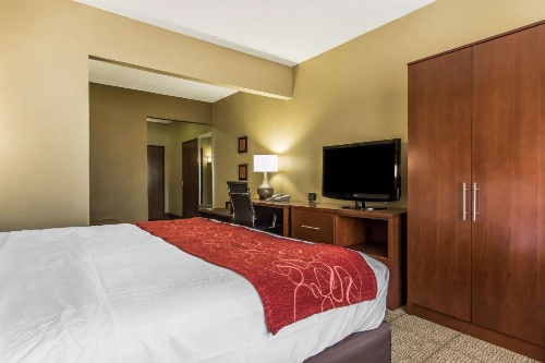 Comfort Suites Effingham image 27