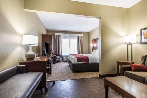 Comfort Suites Effingham image 28