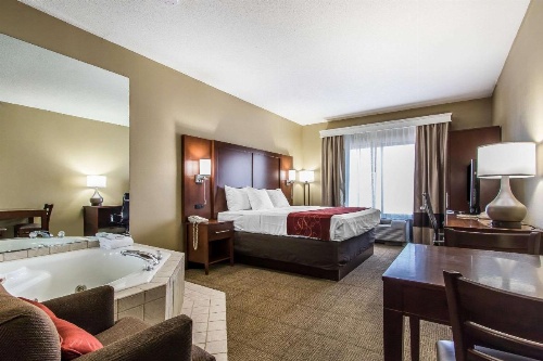 Comfort Suites Effingham image 33