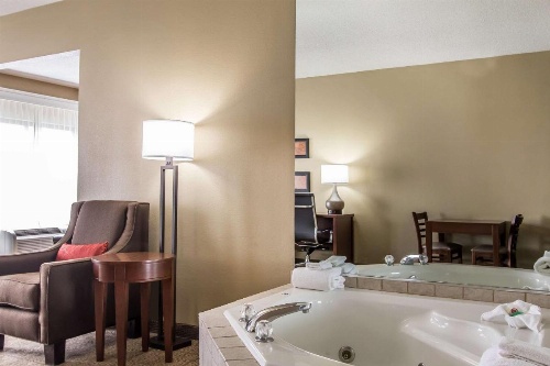 Comfort Suites Effingham image 34